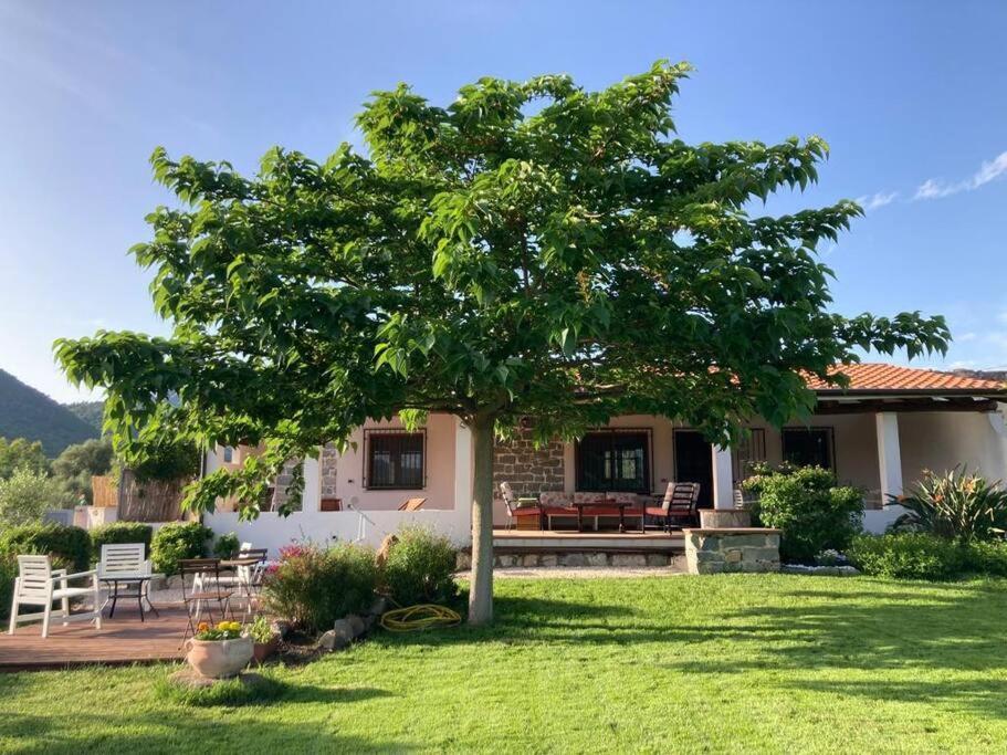 Countryside Villa In Sardinia Triei 외부 사진