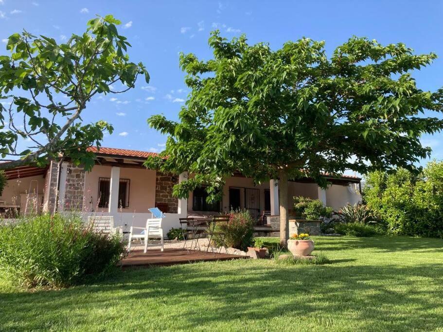 Countryside Villa In Sardinia Triei 외부 사진