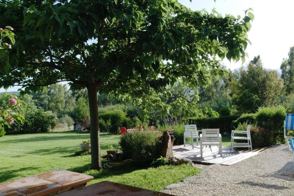 Countryside Villa In Sardinia Triei 외부 사진